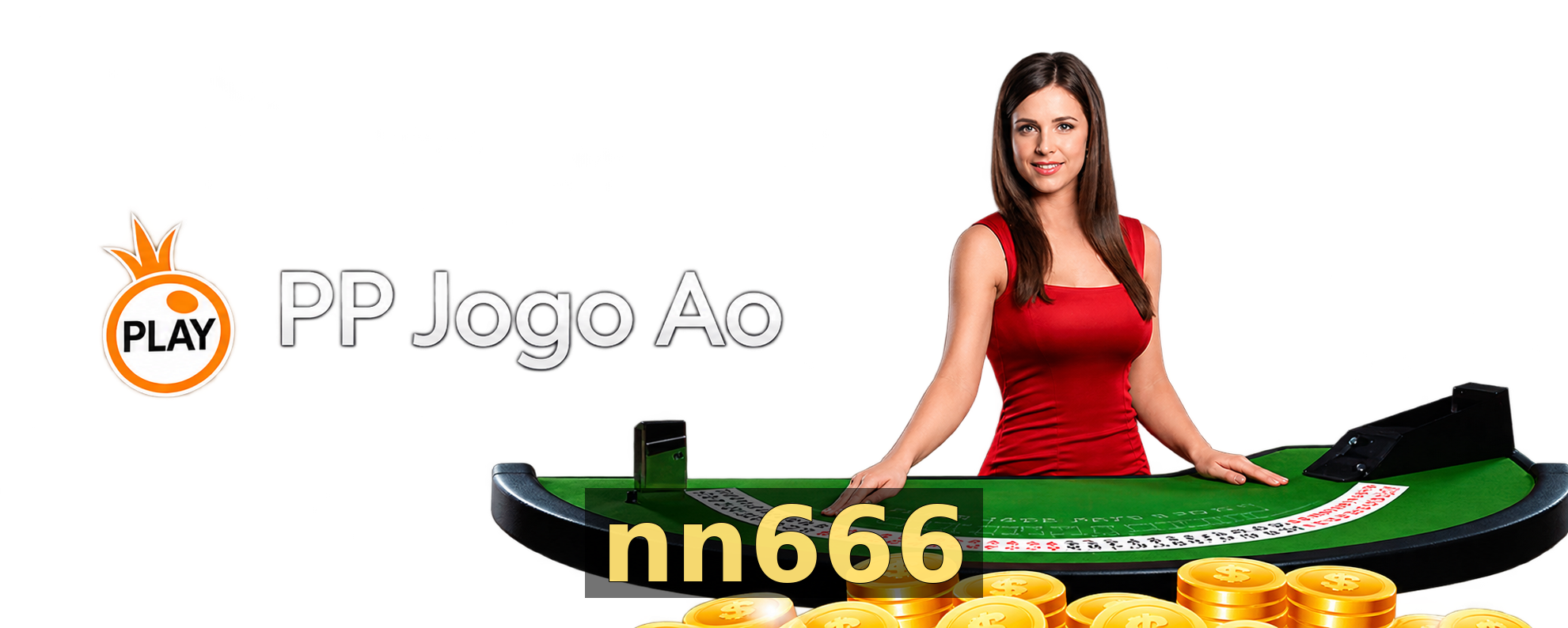 Segurança nn666